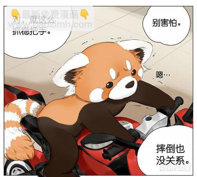 开车 第5页
