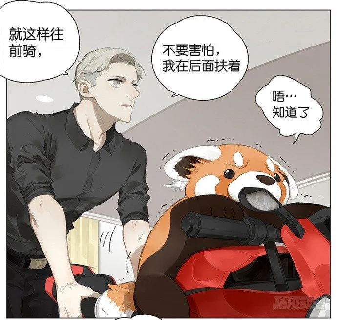 开车 第12页
