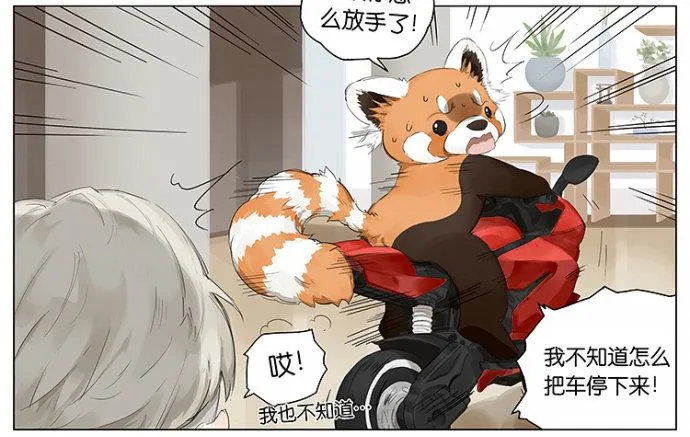 开车 第14页