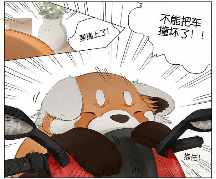 开车 第15页