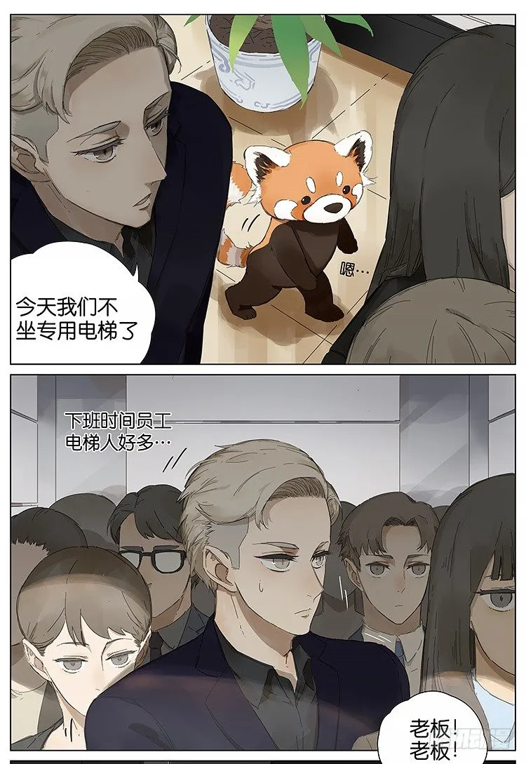 公司 第10页