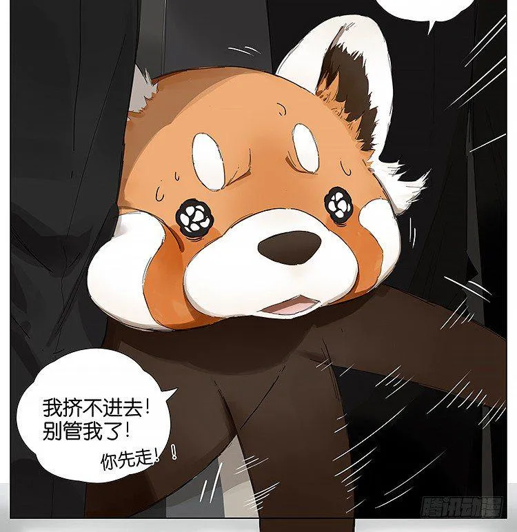 公司 第11页