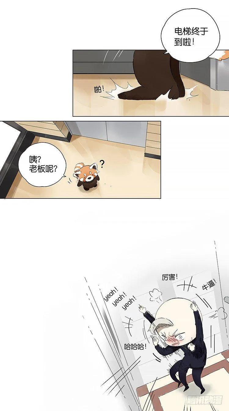 公司 第13页