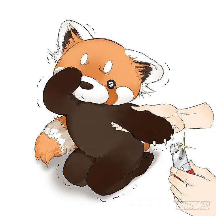 画了一组小熊猫 第2页
