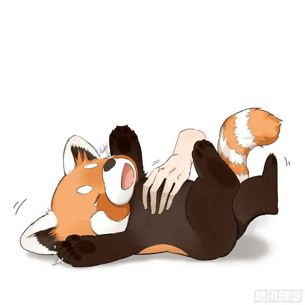 画了一组小熊猫 第3页