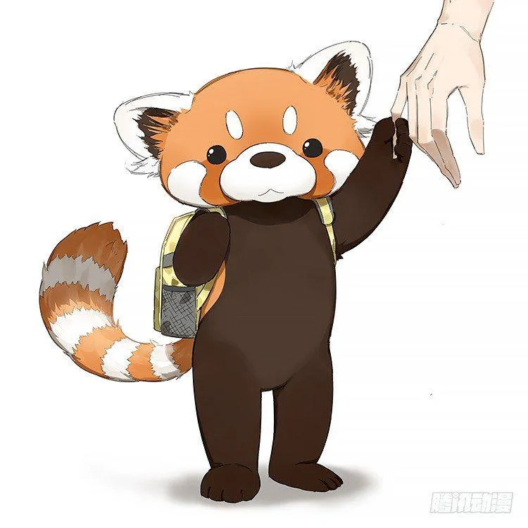 画了一组小熊猫 第12页