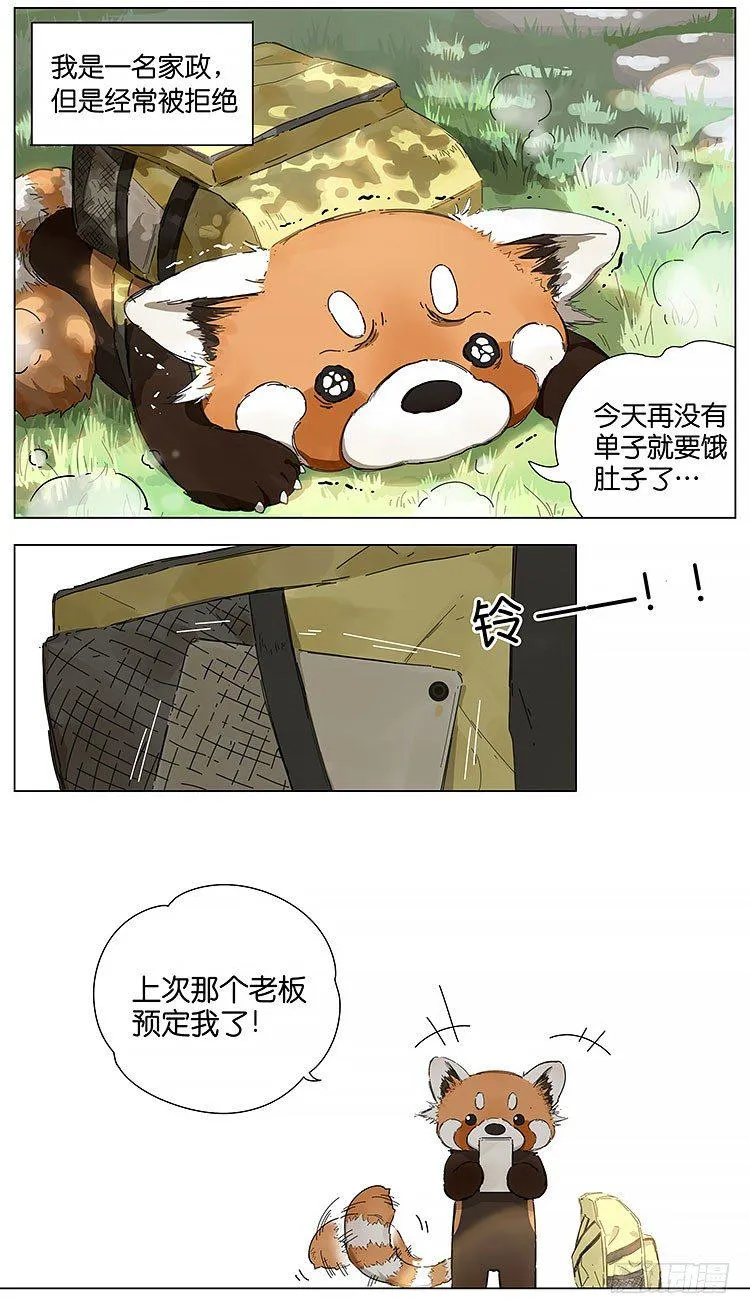 小熊猫 第2页