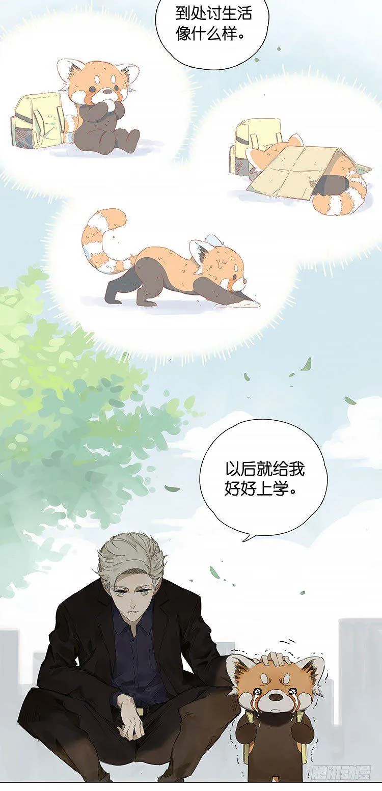 小熊猫 第11页