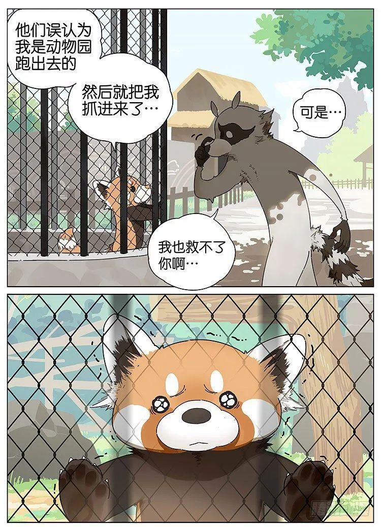 逛动物园 第3页