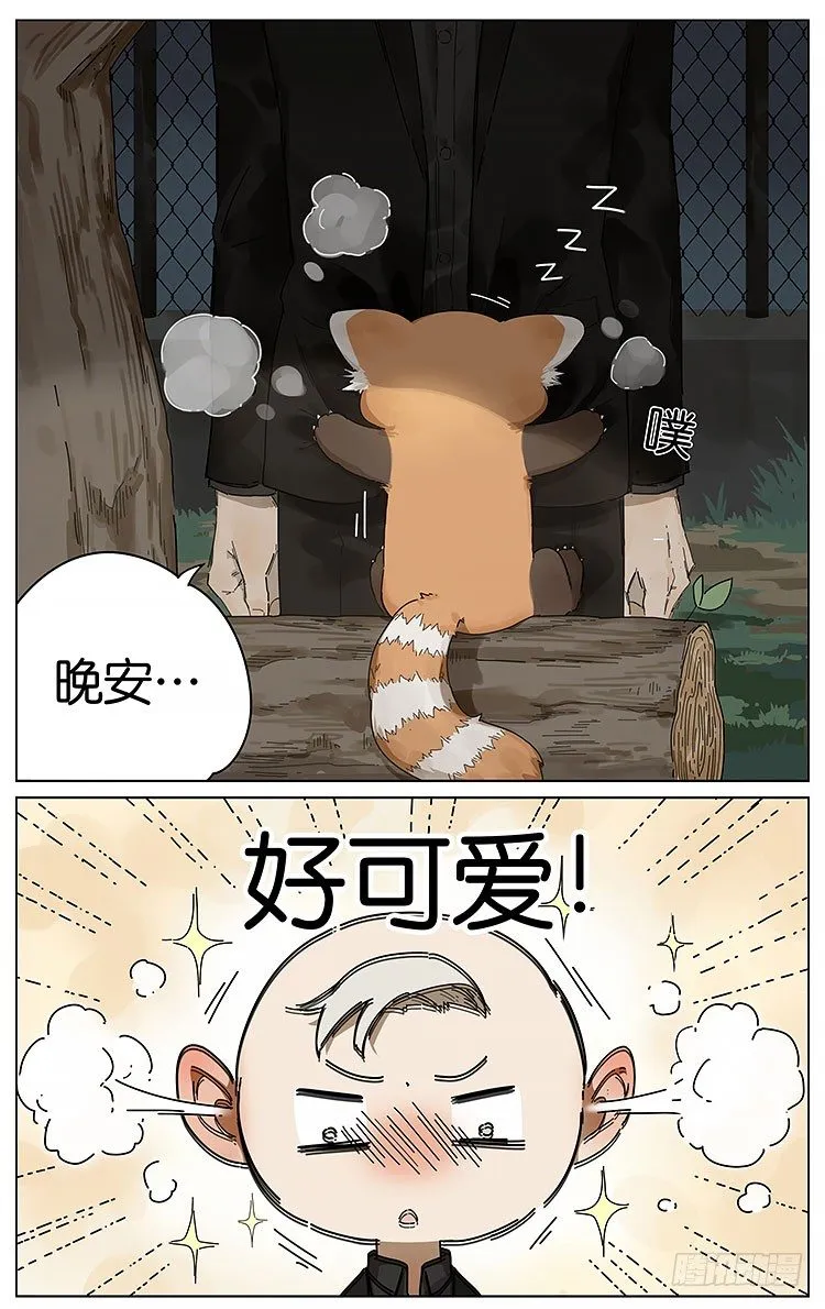 逛动物园 第7页