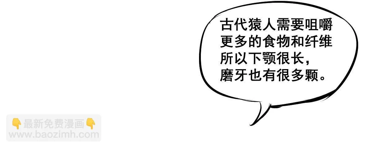 锤子当然是用来拔牙的 第23页