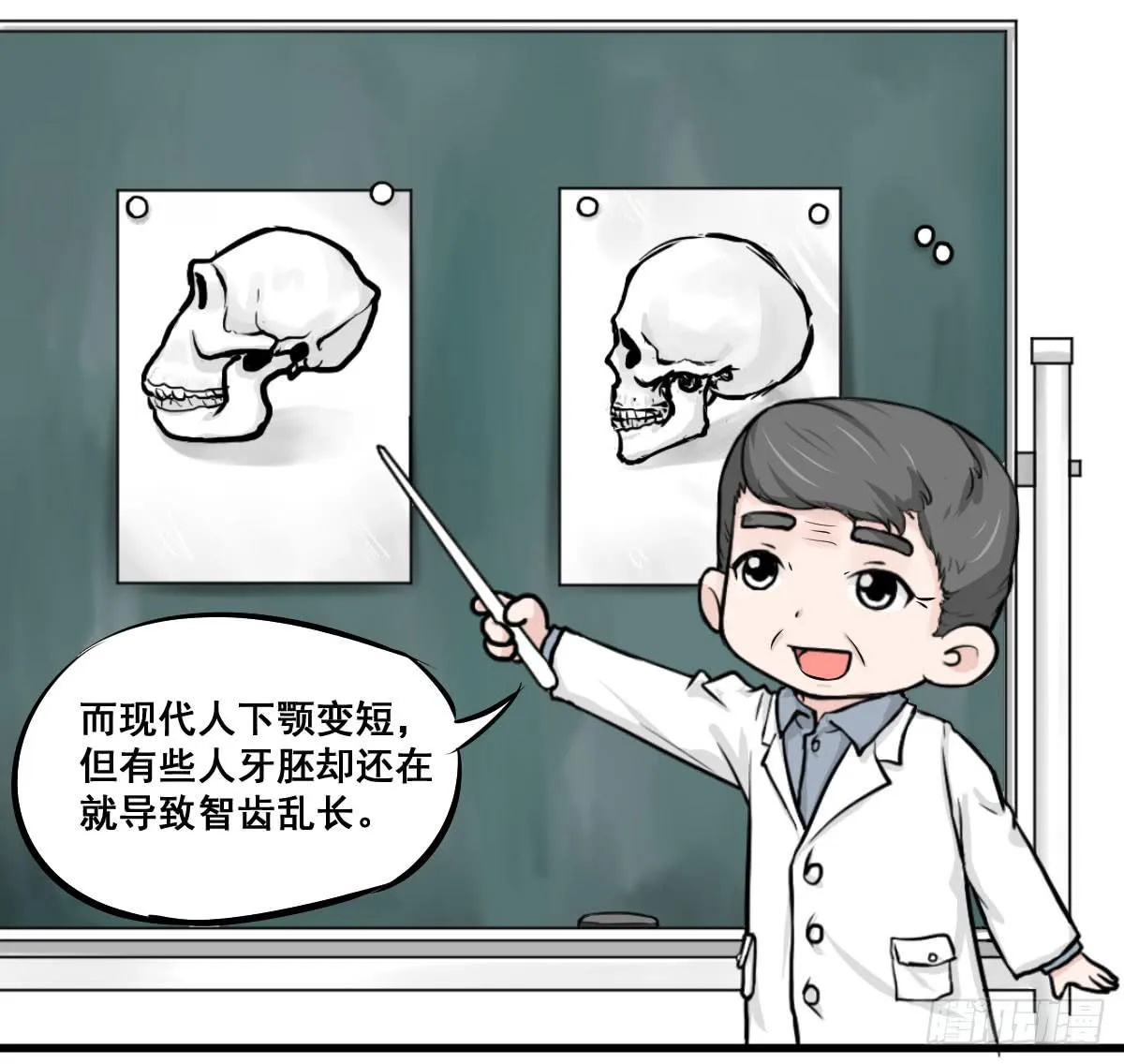 锤子当然是用来拔牙的 第24页