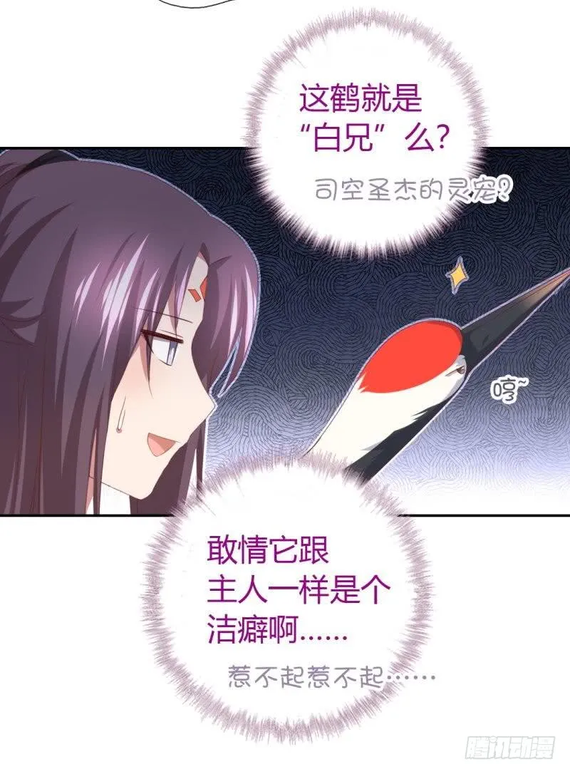第84话 英雄救美 第14页