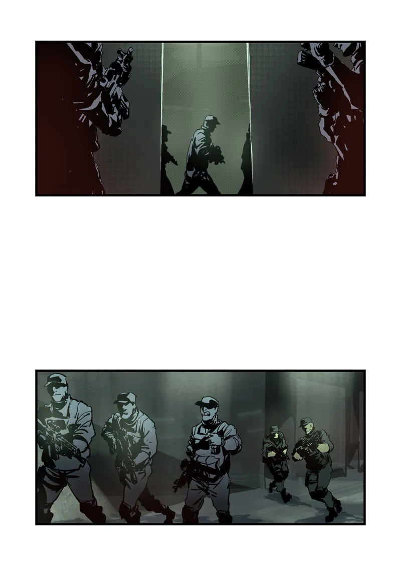 81 第13页