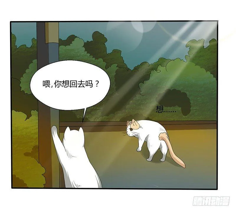 第四十四话 她来了！ 第16页
