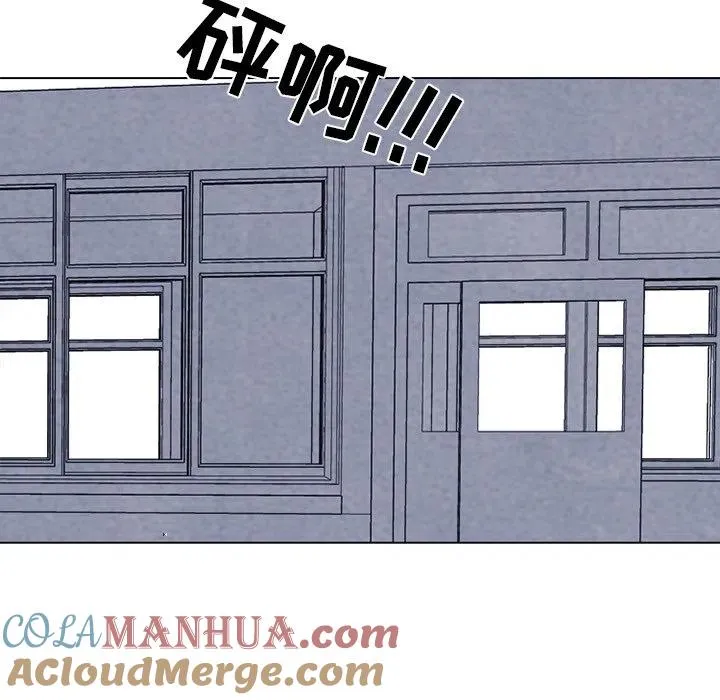 195 第13页