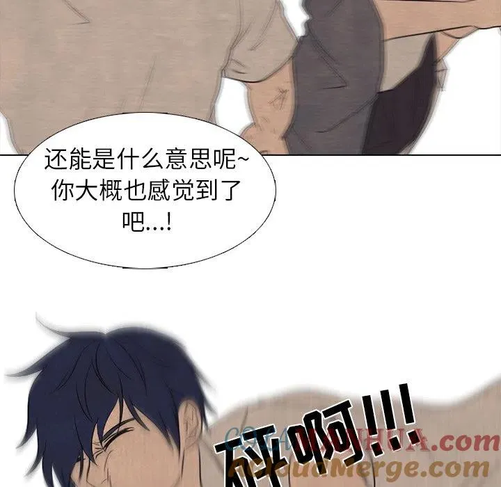 197 第97页