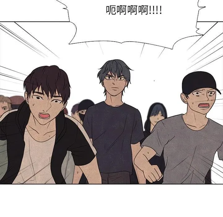 207 第46页