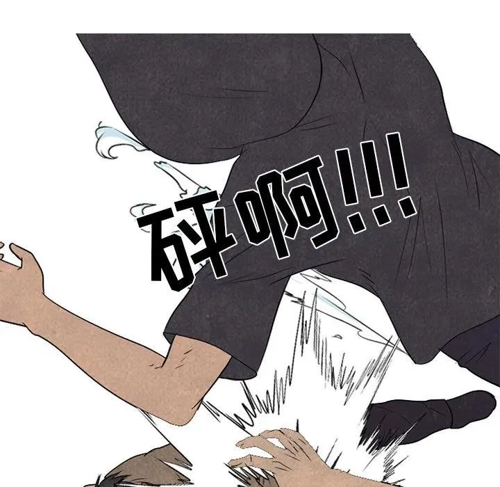 209 第83页
