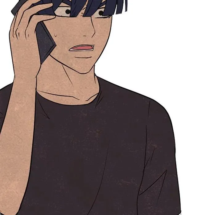 211 第115页