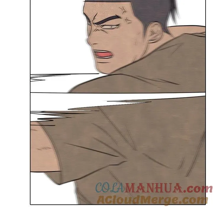 212 第113页