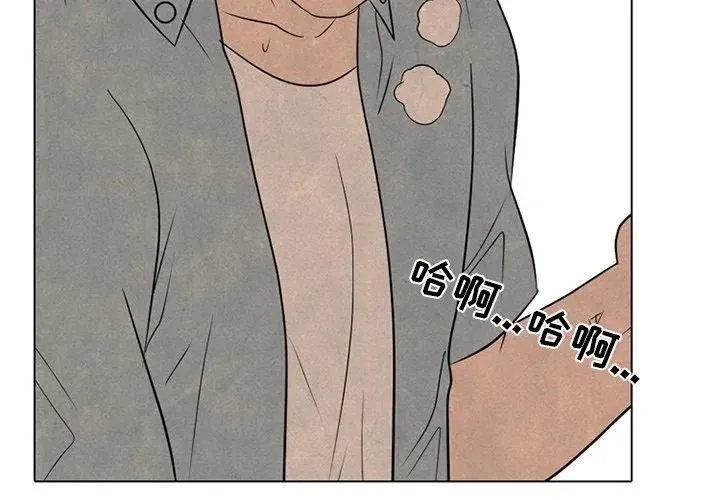 213 第4页