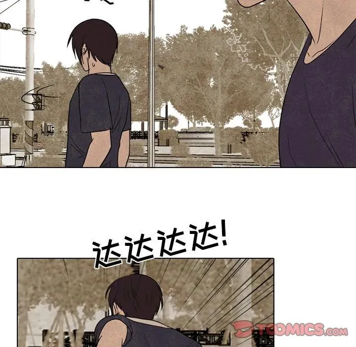 213 第36页