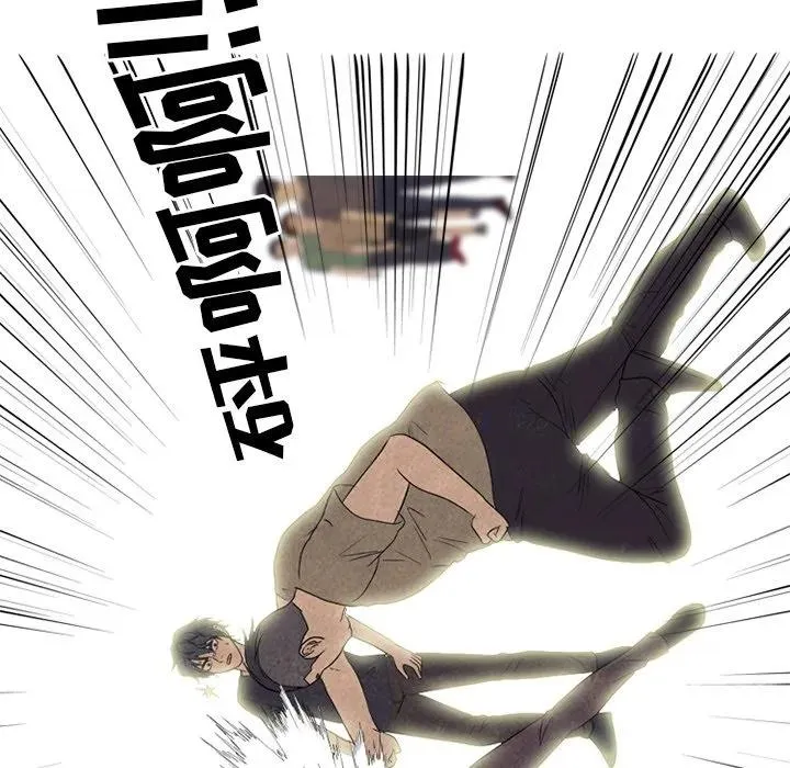 213 第47页