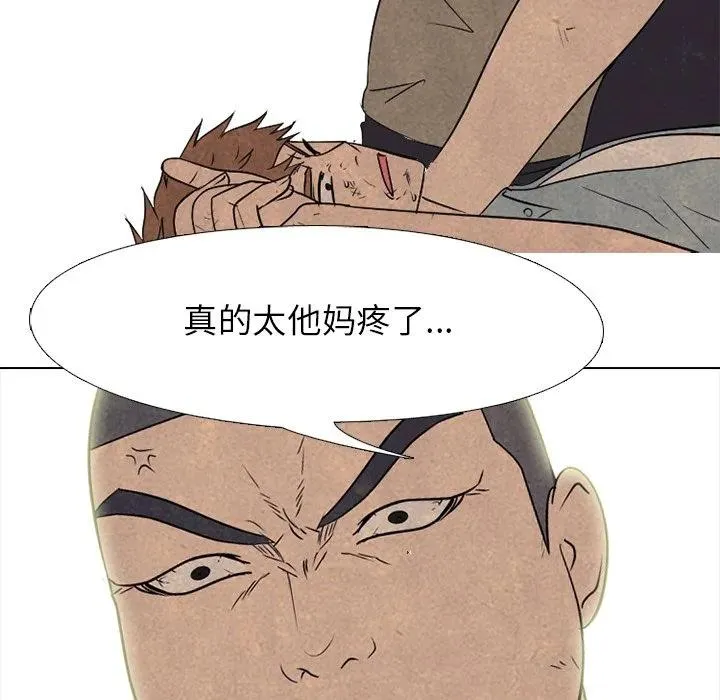 213 第58页