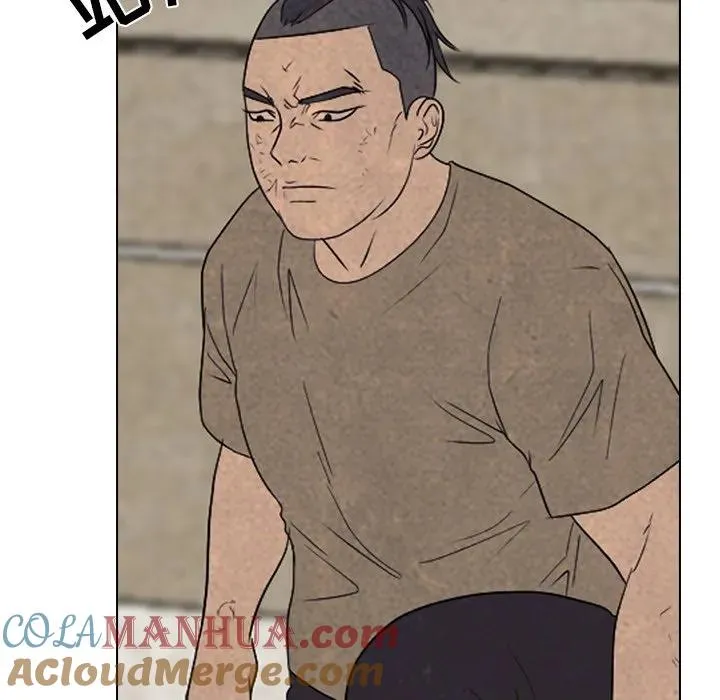 213 第61页