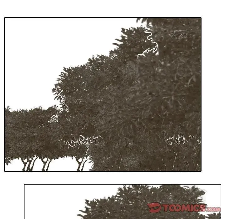 213 第78页