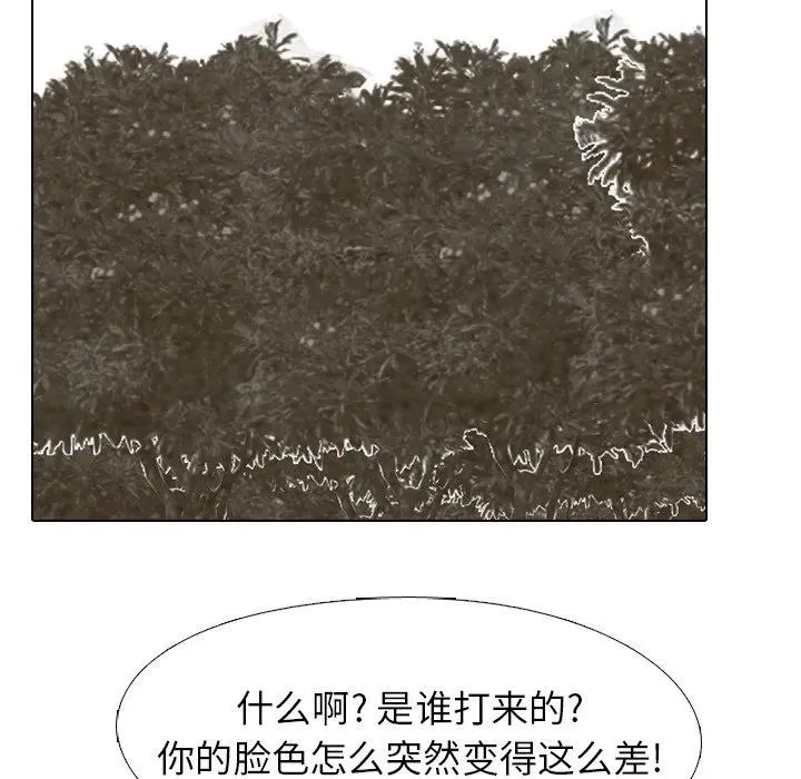 213 第110页