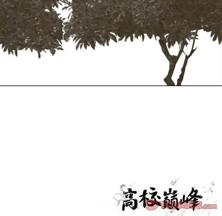 213 第120页
