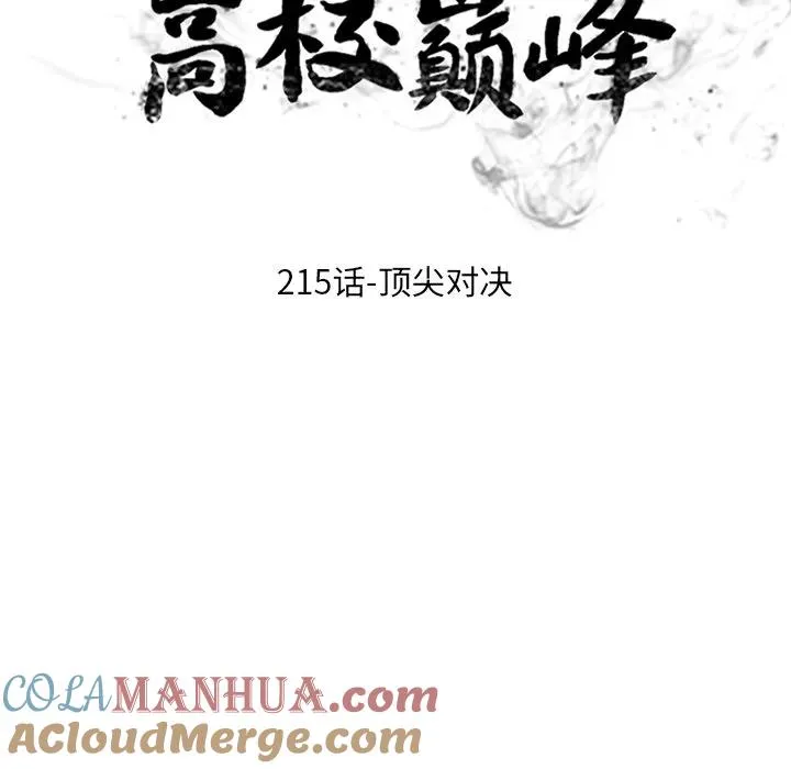 215 第13页