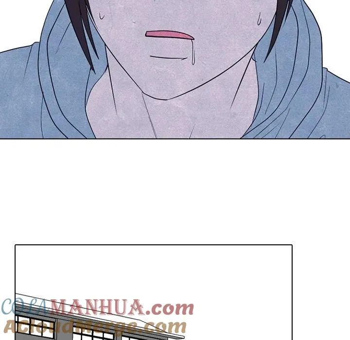 229 第65页