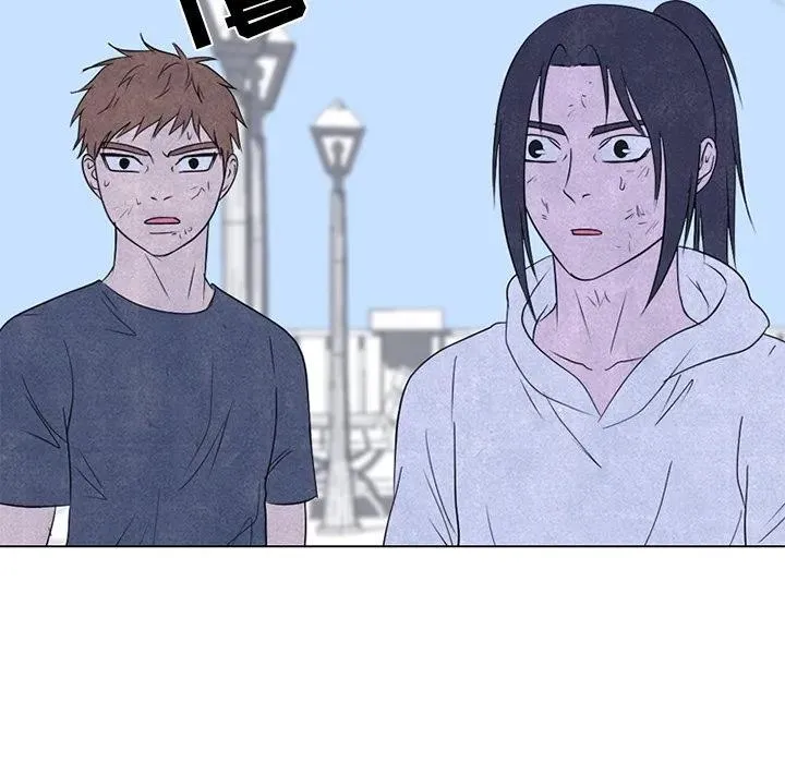 240 第68页