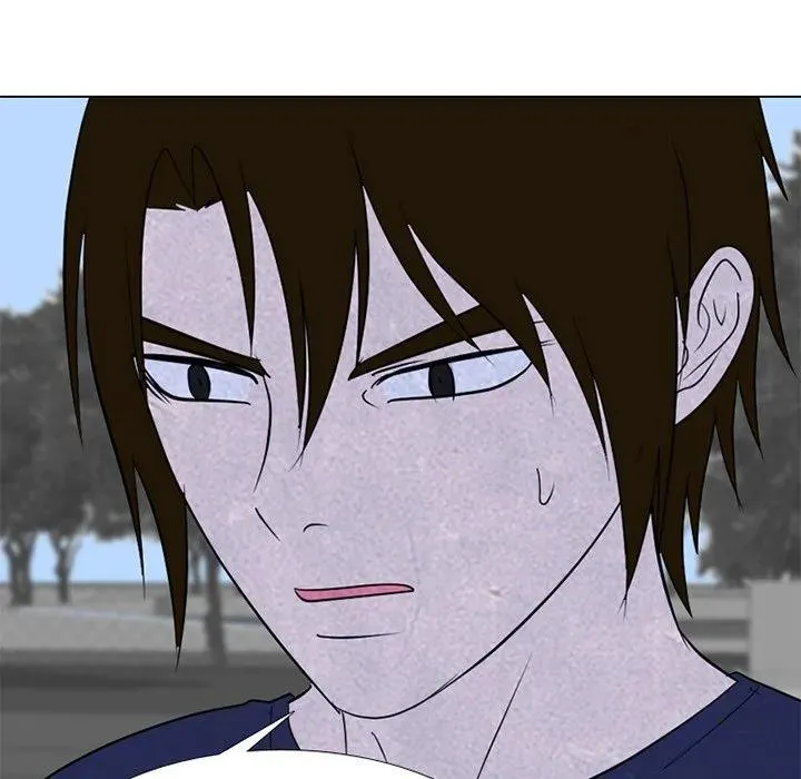 240 第114页