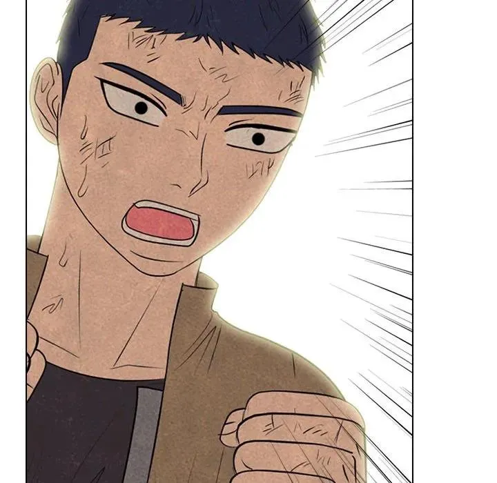 300 第56页