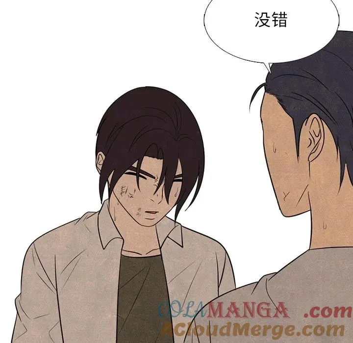 338 第121页