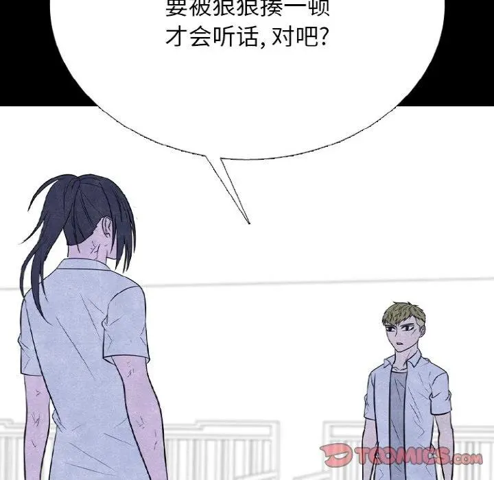 339 第52页
