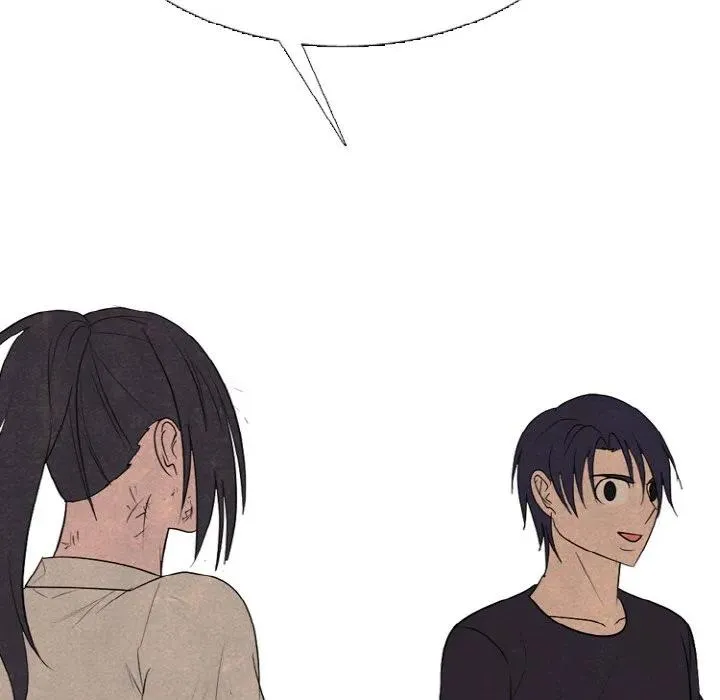 339 第135页