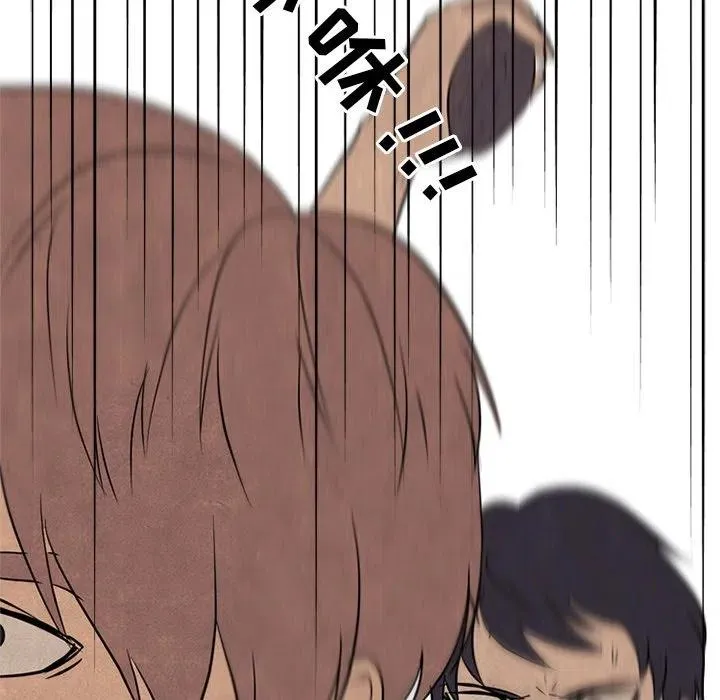 141 第91页