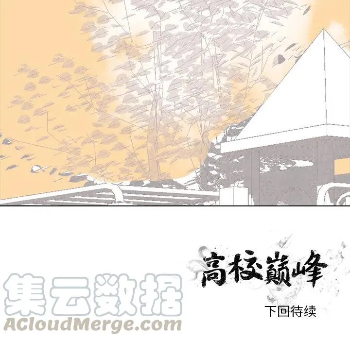 133 第117页