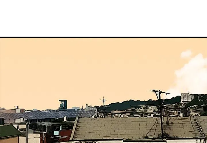 1 第3页