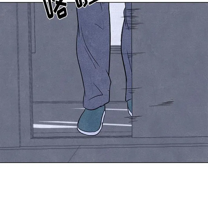 5 第17页