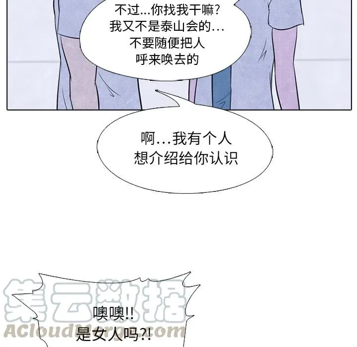 19 第43页