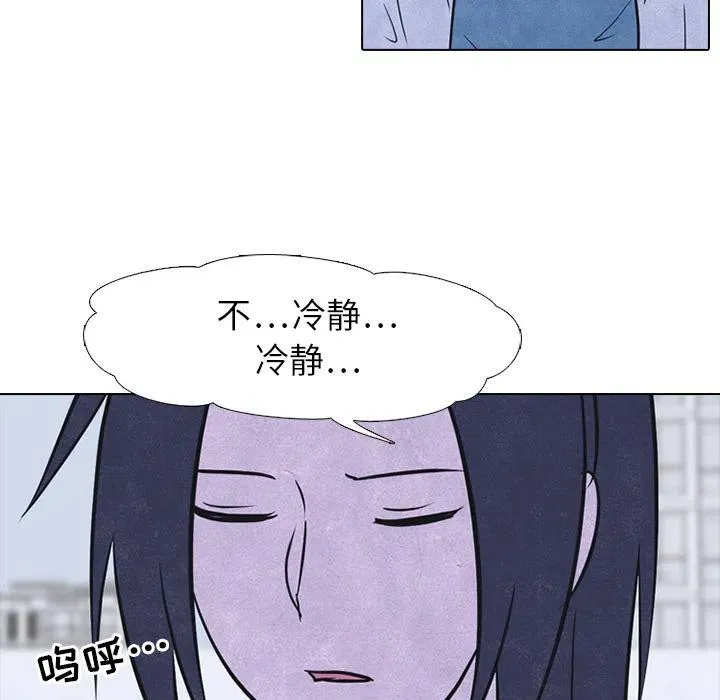 20 第51页