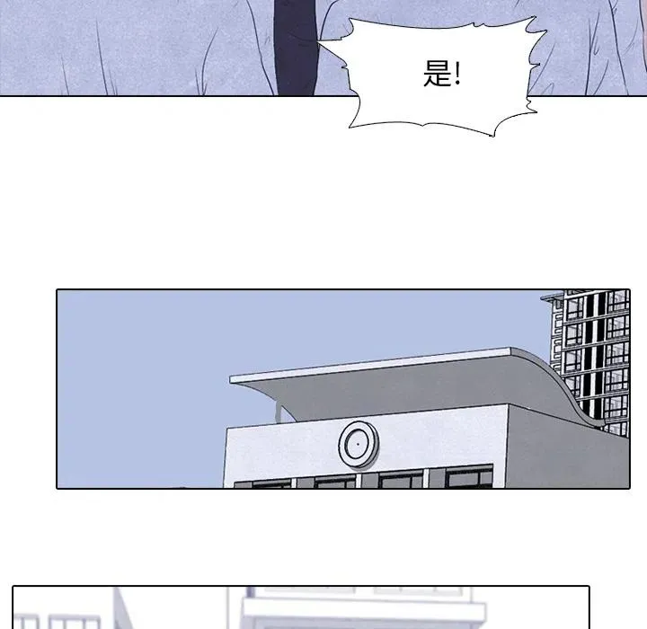 21 第53页