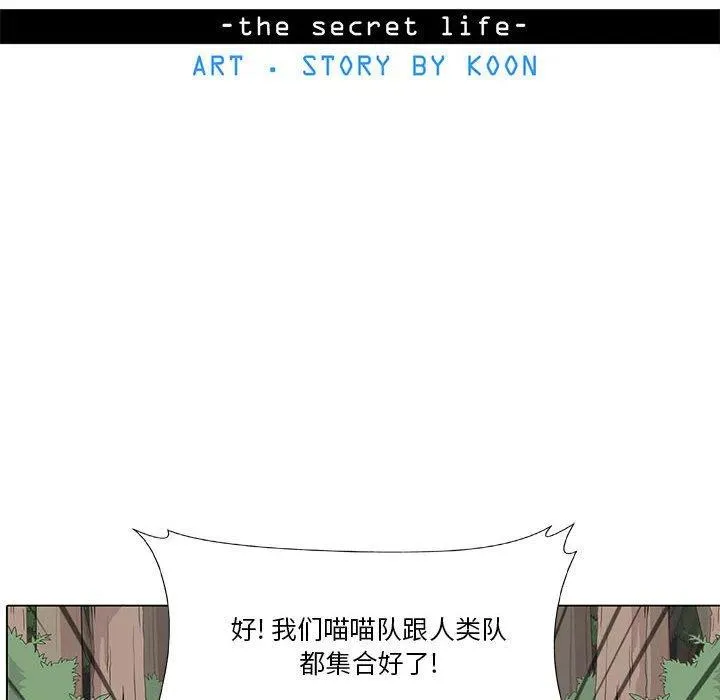 29 第14页