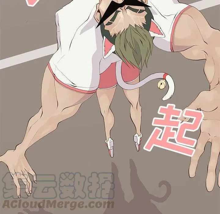 29 第31页